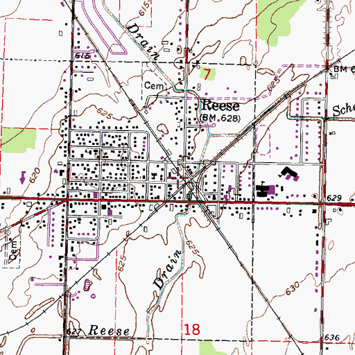 Topographic Map of Reese Station, MI