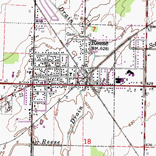 Topographic Map of Reese Fire Rescue, MI