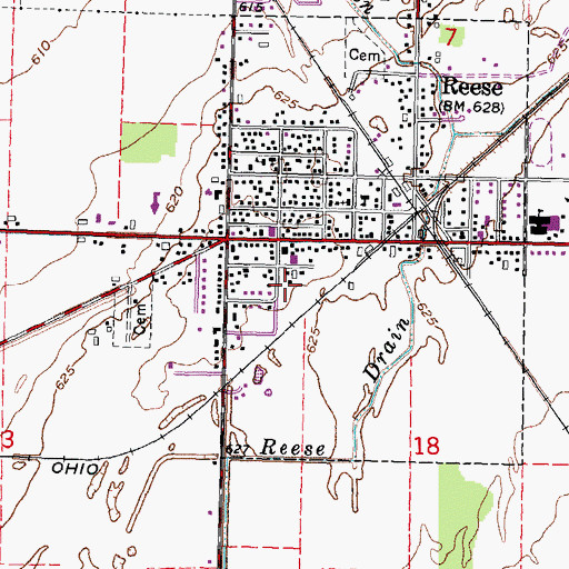 Topographic Map of Reese Police Department, MI