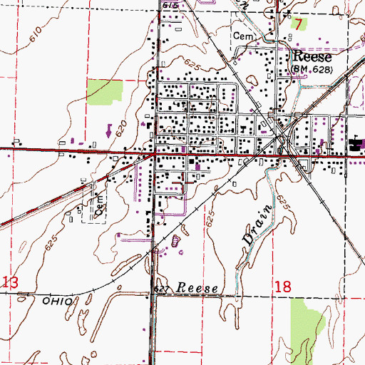Topographic Map of Reese Post Office, MI
