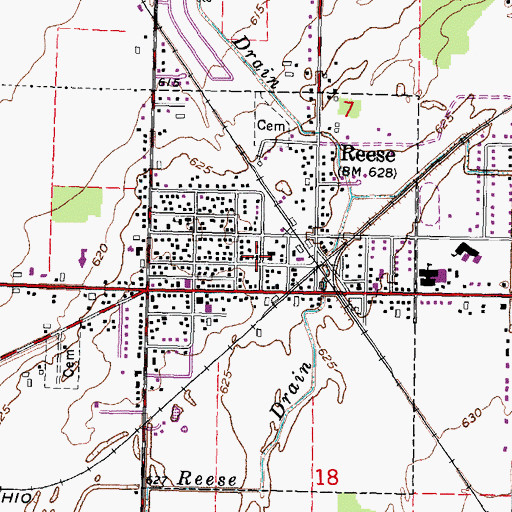 Topographic Map of Trinity Lutheran Church, MI