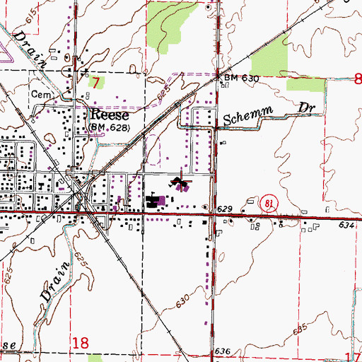 Topographic Map of Reese Elementary School, MI