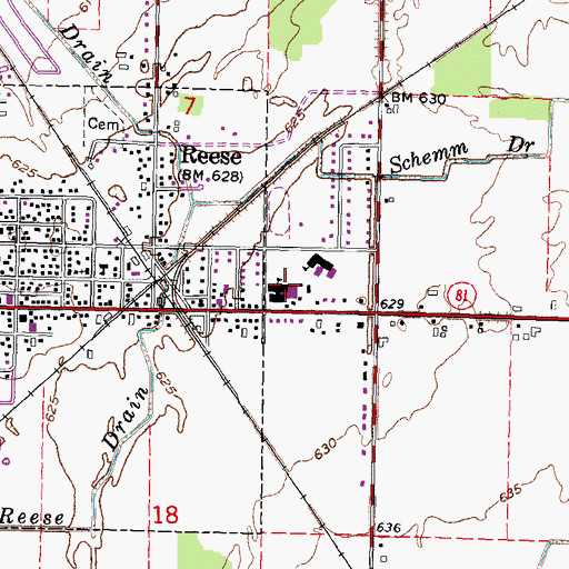 Topographic Map of Reese Middle School, MI