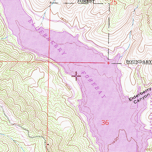 Topographic Map of Elderberry Forebay, CA