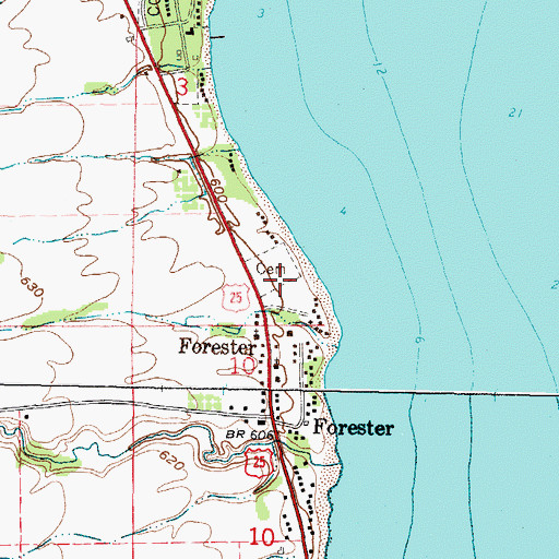Topographic Map of Forester Township Cemetery, MI