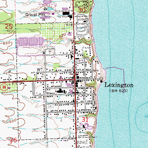 Topographic Map of Old Town Hall and Masonic Temple Historical Marker, MI
