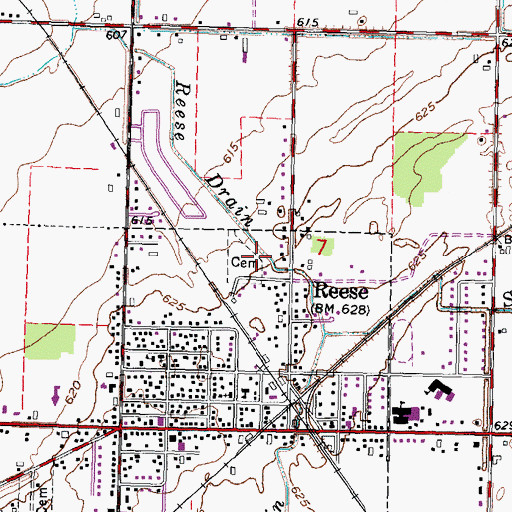 Topographic Map of Denmark Township Cemetery, MI