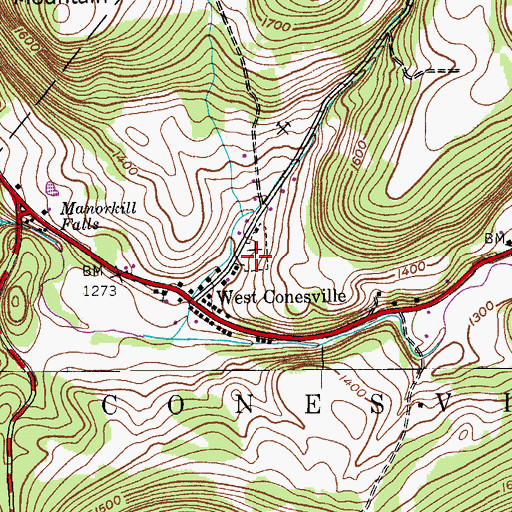 Topographic Map of West Conesville Cemetery, NY