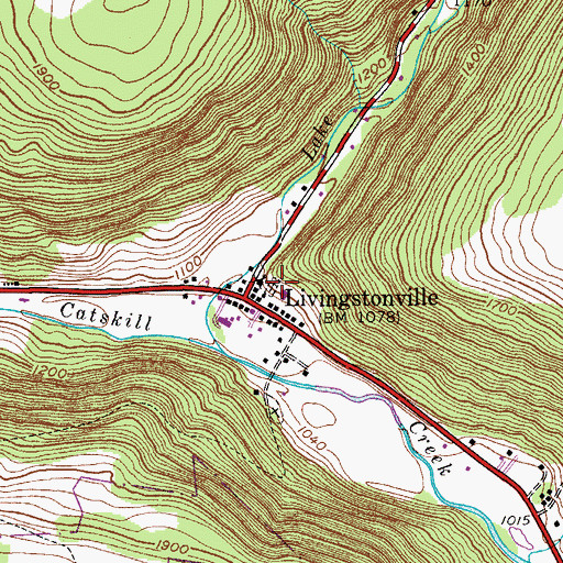Topographic Map of Livingstonville Presbyterian Cemetery, NY