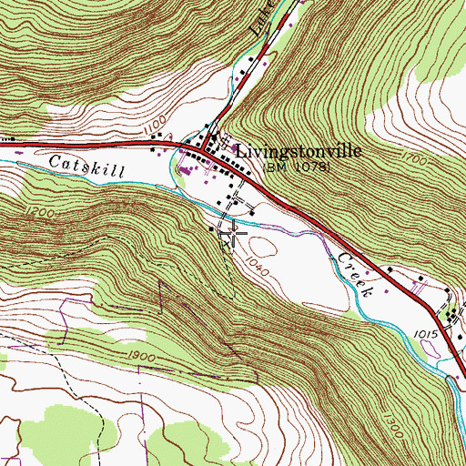 Topographic Map of Livingstonville Cemetery, NY