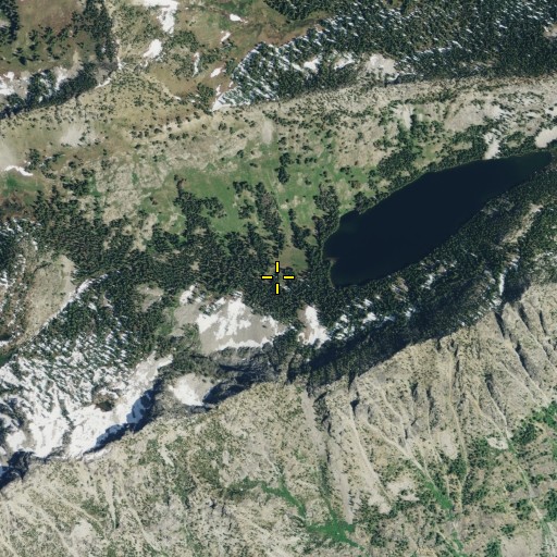 Aerial/Satellite Image of Surprise Lake Campsite, WA