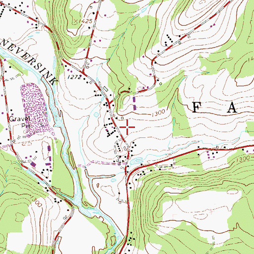 Topographic Map of Allison Farms, NY