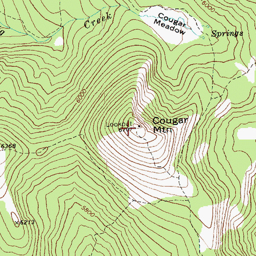 Topographic Map of Cougar Mountain Lookout, WA