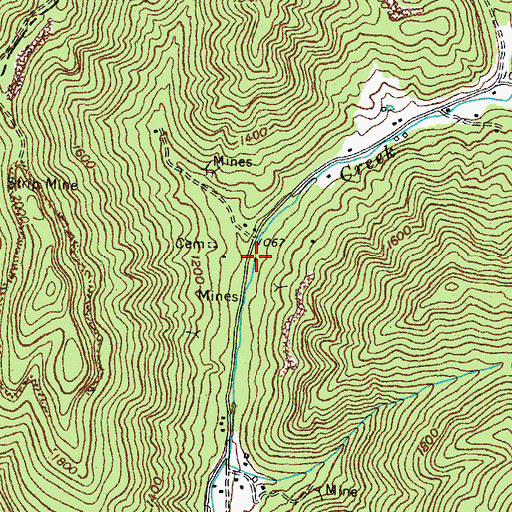 Topographic Map of Buffalo Branch, KY