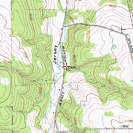 Topographic Map of Wilson Cemetery, NY
