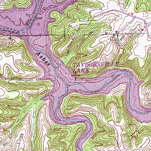Topographic Map of School Number Seventeen (historical), KY