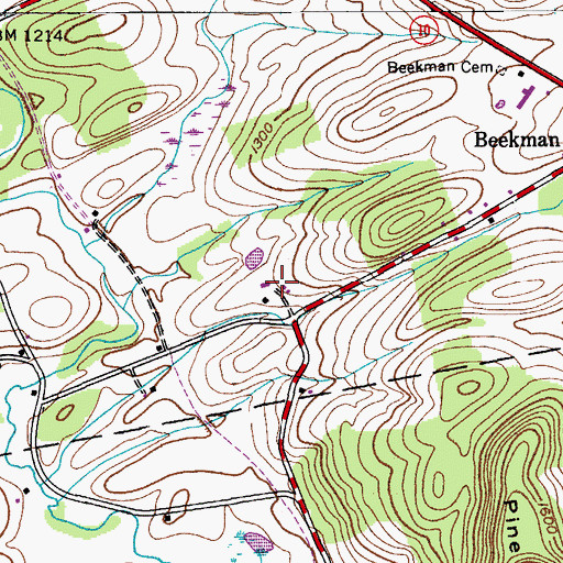 Topographic Map of Cold Springs Farm, NY