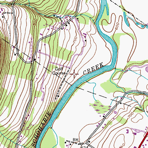 Topographic Map of Cooper's Ark Farm, NY