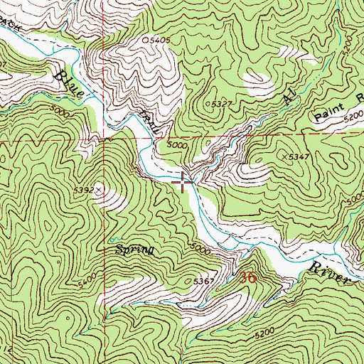 Topographic Map of Beeler Creek, AZ