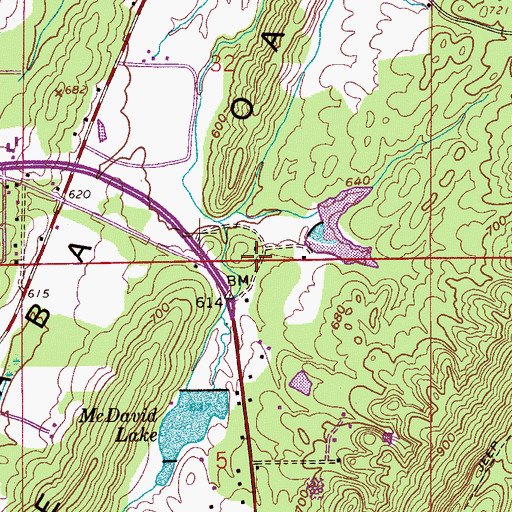 Topographic Map of Hoover Fire Department Station 8, AL