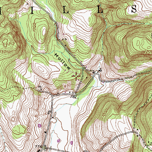 Topographic Map of Little Rainbow Chevre, NY