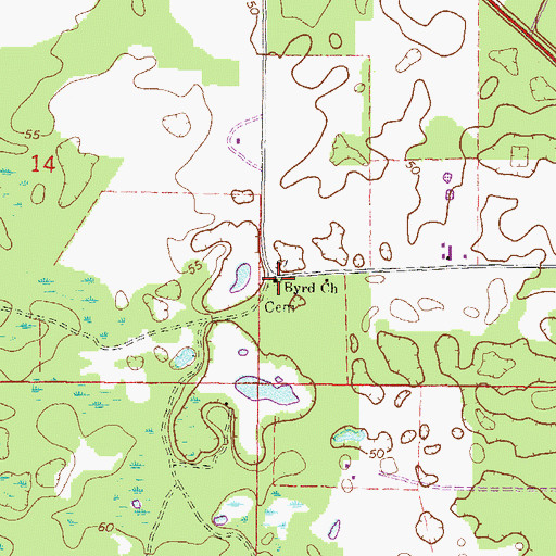 Topographic Map of Macedonia Baptist Purity Church, FL