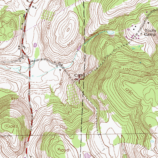 Topographic Map of DeWitt Brown Road Cemetery, NY