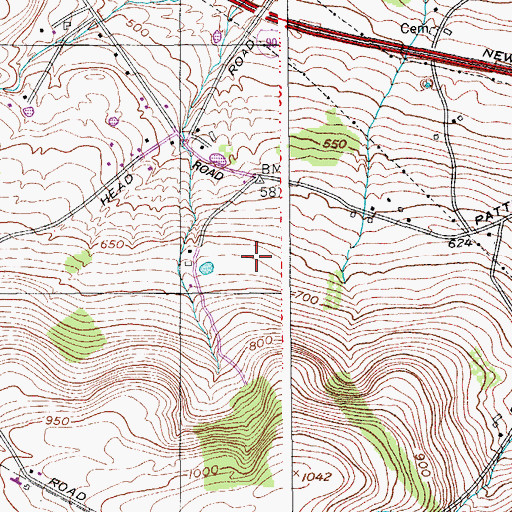Topographic Map of Persons Farm, NY