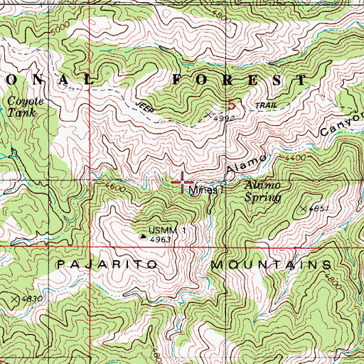 Topographic Map of Alamo Spring, AZ