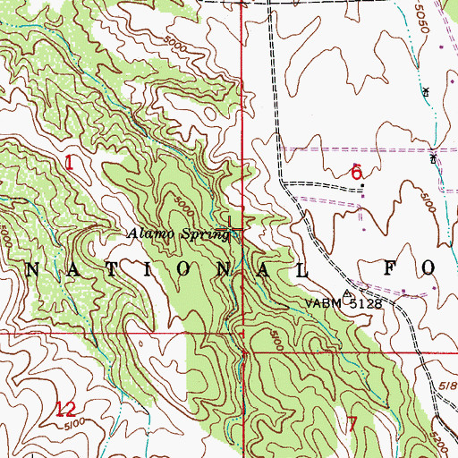 Topographic Map of Alamo Spring, AZ