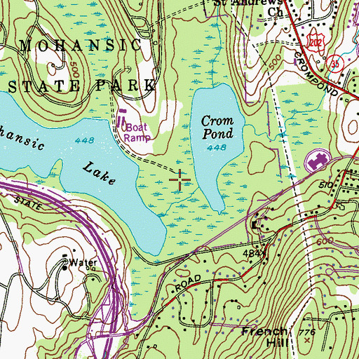 Topographic Map of Cedar Swamp, NY