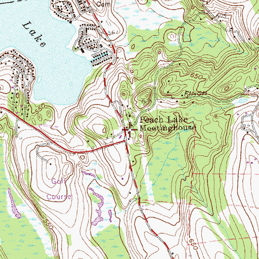Topographic Map of Dingle, NY
