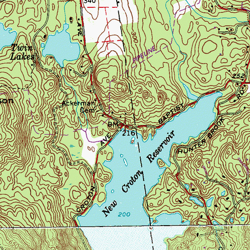 Topographic Map of Dixie, NY