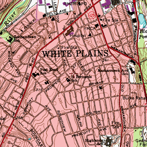 Topographic Map of Druss Park, NY