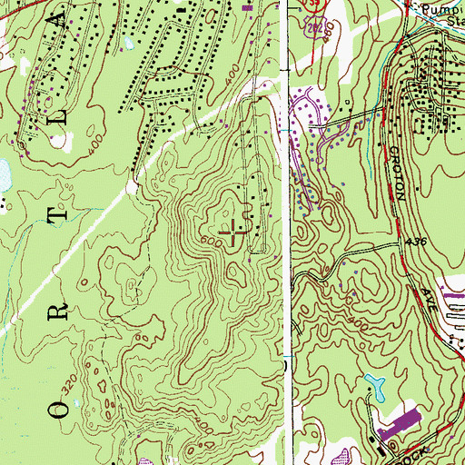 Topographic Map of Emery Hill, NY