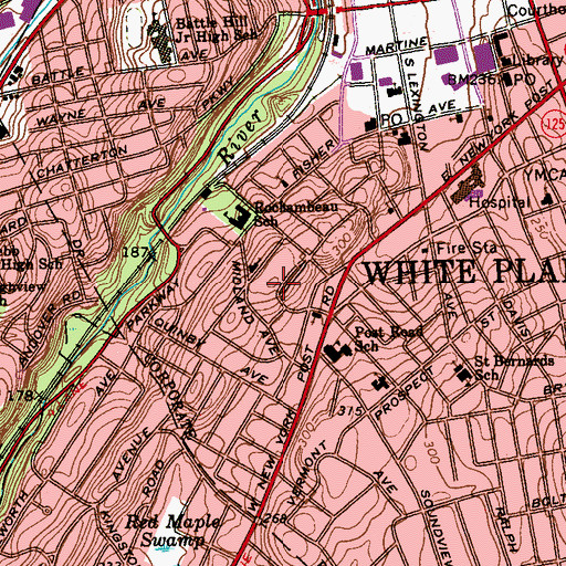 Topographic Map of Fisher Hill, NY