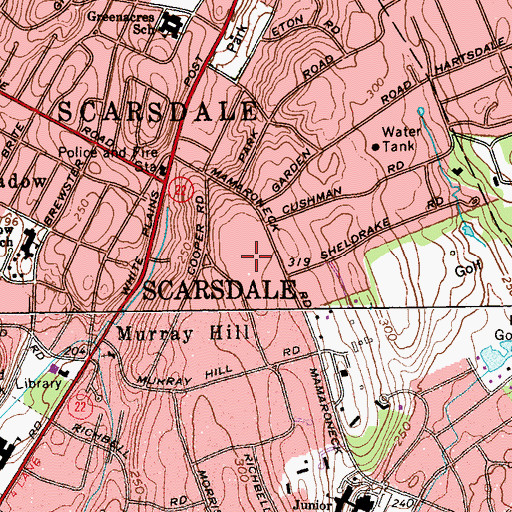 Topographic Map of Fishs Hill, NY