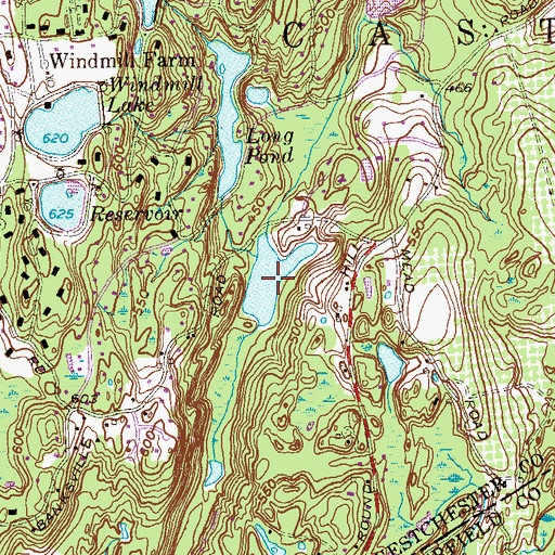 Topographic Map of Giffords Lake, NY