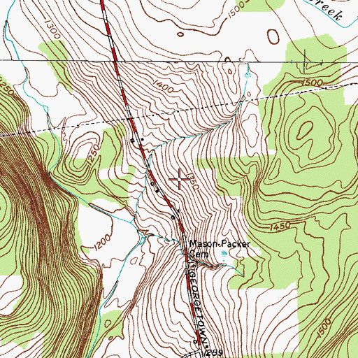 Topographic Map of Many Maples Farm, NY