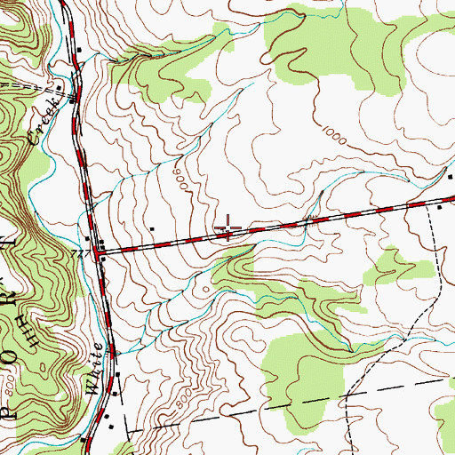 Topographic Map of Elm Tree Cemetery, NY