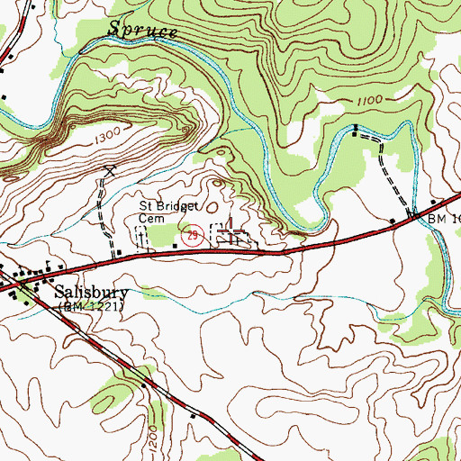 Topographic Map of Salisbury Cemetery, NY