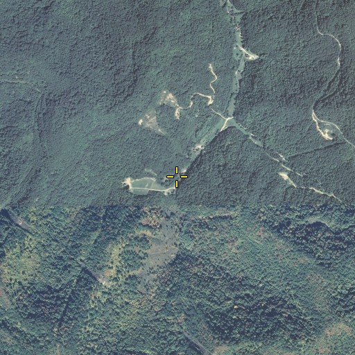 Aerial/Satellite Image of Seng Branch, KY