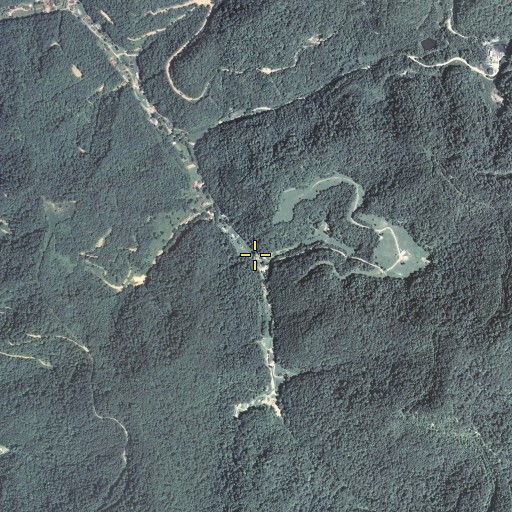 Aerial/Satellite Image of Field Fork, KY
