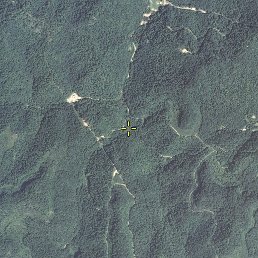 Aerial/Satellite Image of Brushy Fork, KY