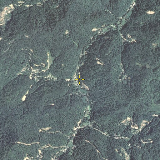 Aerial/Satellite Image of Wolf Fork, KY