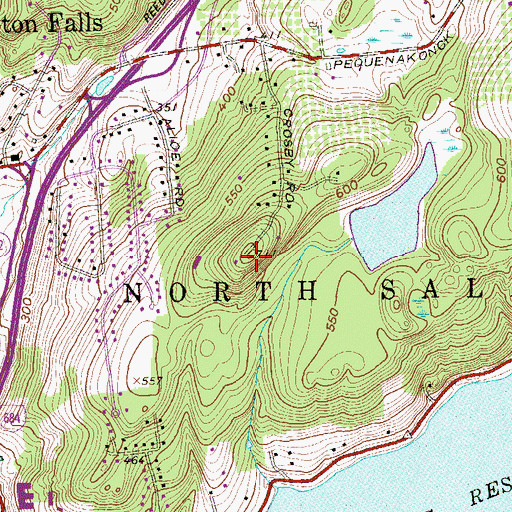 Topographic Map of Harvey Birch Hill, NY