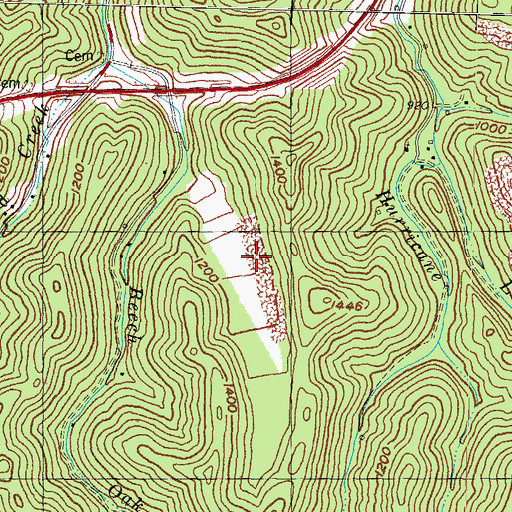 Topographic Map of Little Beech (historical), KY