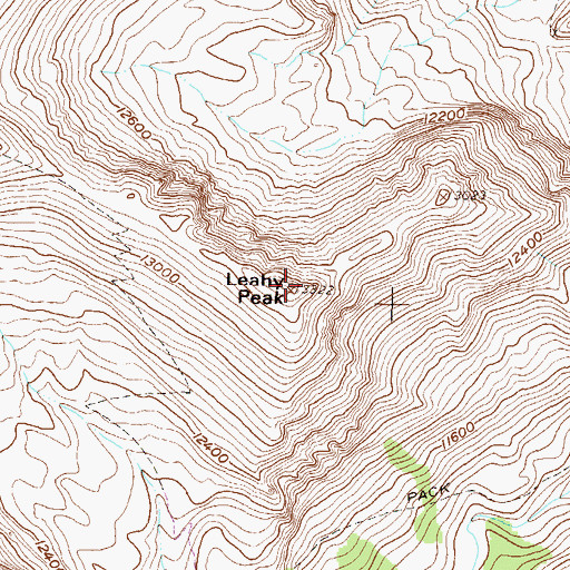 Topographic Map of Leahy Peak, CO