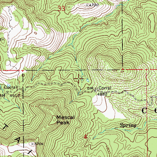 Topographic Map of Manzanita Spring, AZ