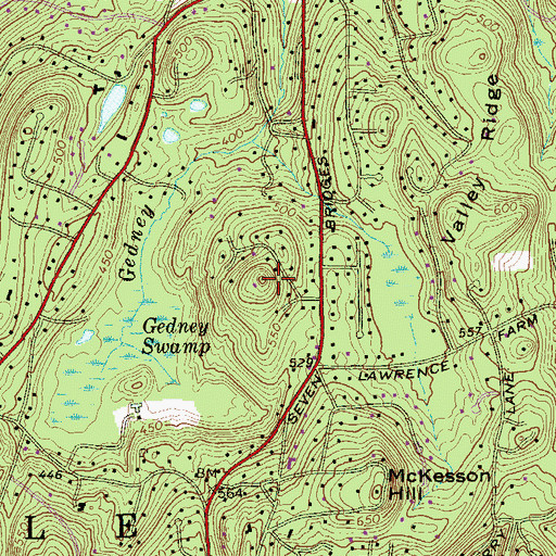 Topographic Map of Oil Mill Hill, NY